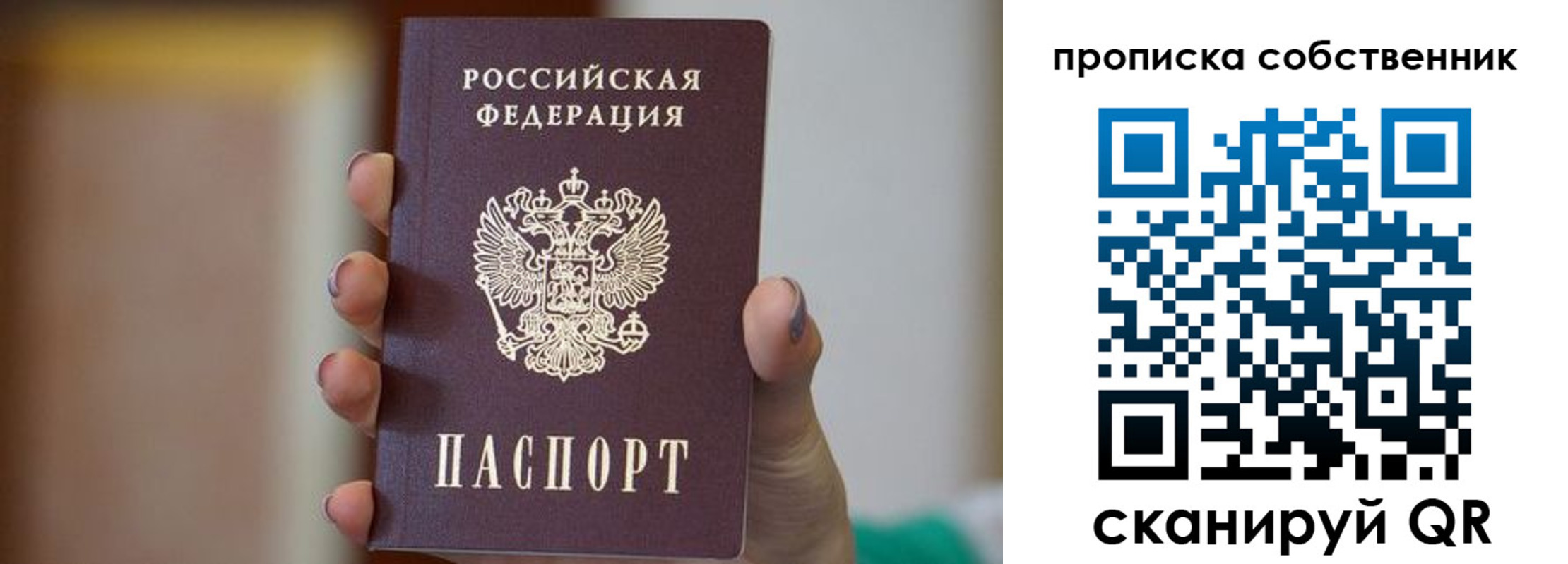 прописка поиск в Кольчугино