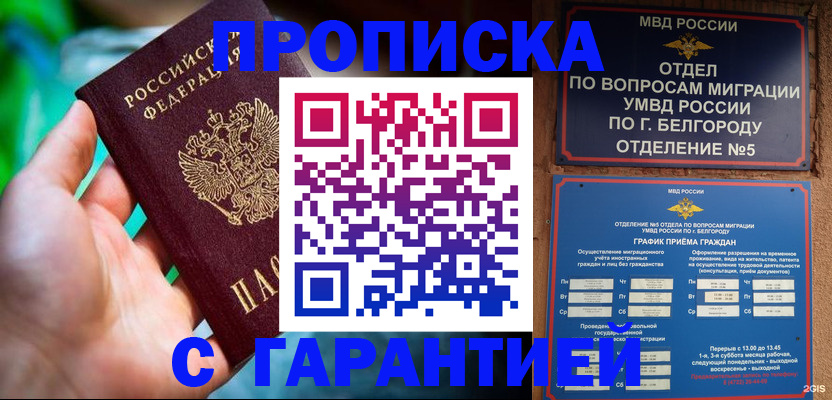 прописка для работы в Кольчугино